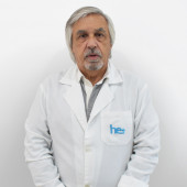 Prof. Dr. Luís Martins